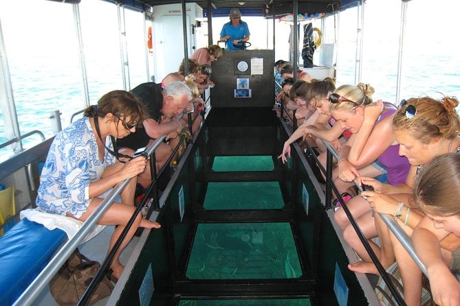 Glass-Bottomed Boat Reef Tour With Snorkeling, Coral Bay