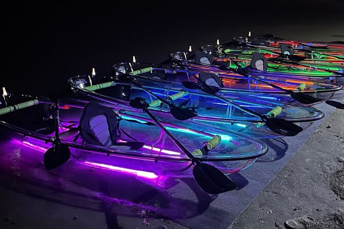 Best Tours In Port Aransas