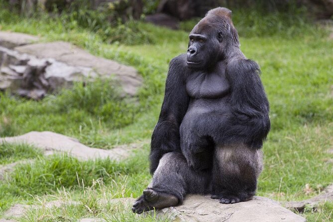 Go City: San Francisco All-Inclusive Pass With 15 Attractions - Good To Know