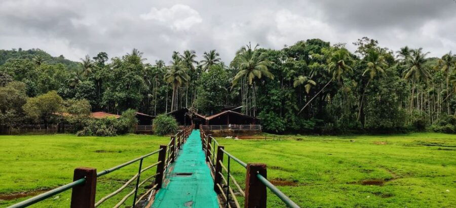 Goa: Spice Plantation Tour and Traditional Local Lunch