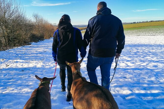 Goat Hike on the Vulkanhof in Gillenfeld - Good To Know