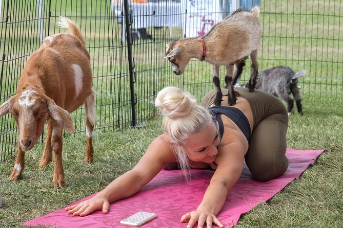 Goat Yoga and Wine Tasting