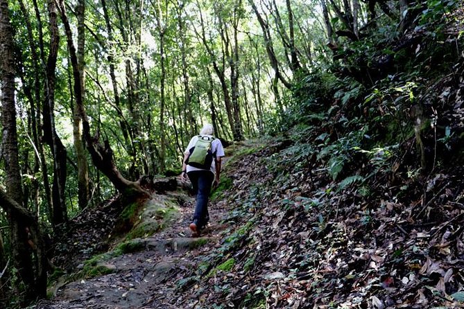 Godavari to Fulchoki Day Hike Near Kathmandu - Overview and Location