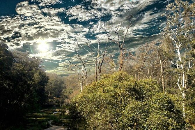 Godavari Village Day Tour - Highlights and Attractions