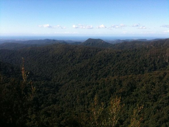 Gold Coast: Natural Arch, Rainforest & Volcano Canyon  - Surfers Paradise - Good To Know
