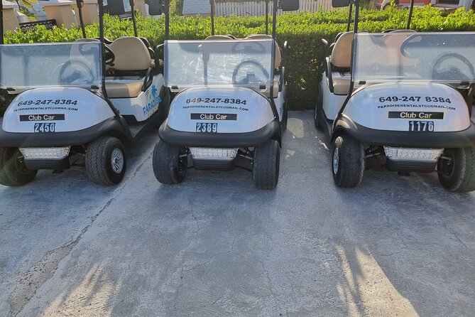Golf Cart Rental in Grand Turk (4-seater) - Overview and Rental Details