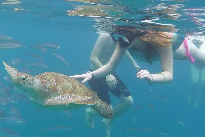 Good Times Too Premium Catamaran Lunch Cruise - Overview and Inclusions