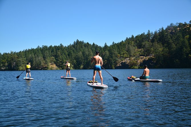 Gorge Waterway Standup Paddleboarding  – Vancouver Island