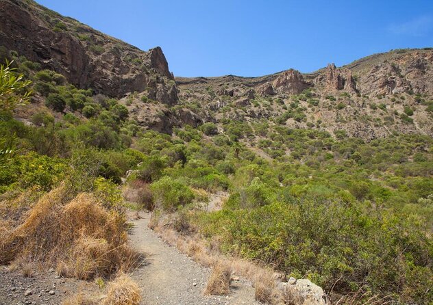 Gran Canaria 7 Beauty Small Group Tour With Tapas-Picnic Included