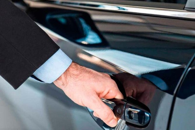 Granada to Malaga Airport Private Transfer - Good To Know