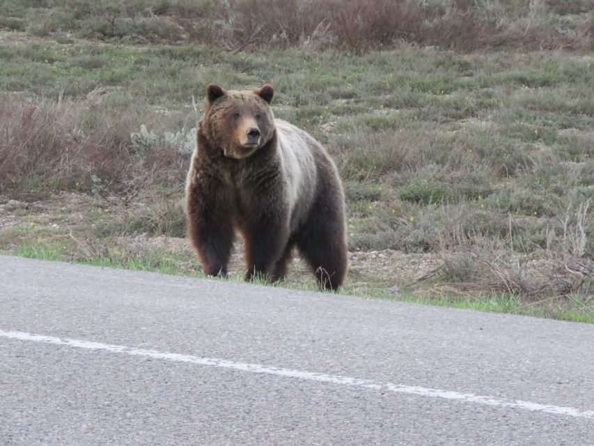 Grand Teton National Park: Full-Day Tour With Boat Ride - Good To Know