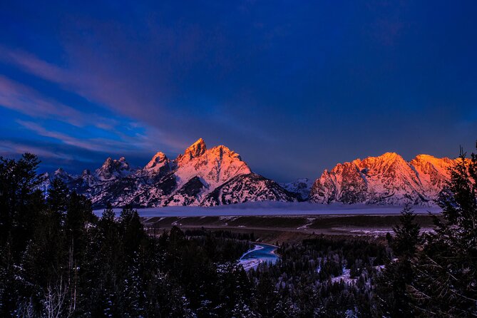 Grand Teton Winter Wildlife Tour