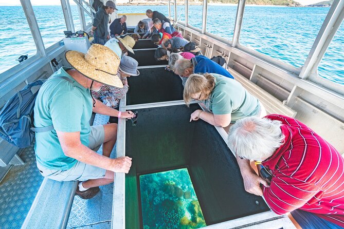 Great Keppel Island Glass Bottom Boat Tour & Ferry Transfer