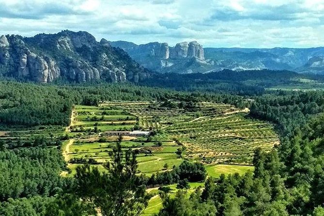 Greenway Section Cretas – Horta De Sant Joan 11km (90% Descending 10% Flat)