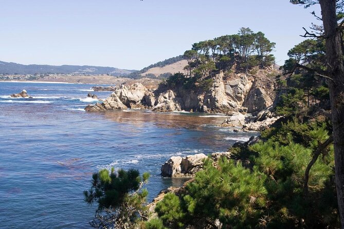 Guided 2-Hour Point Lobos Nature Walk