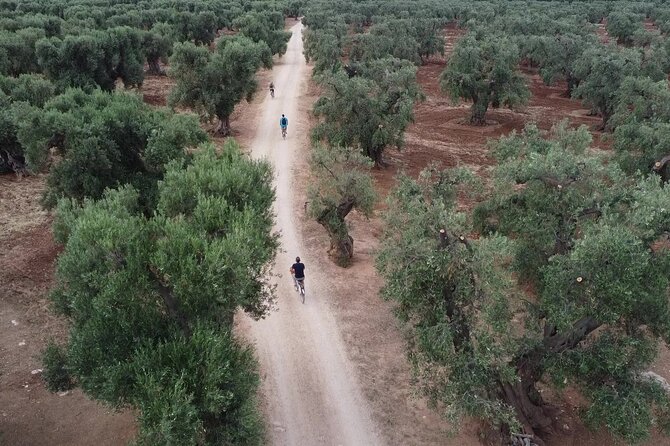 Guided Bike Tour of Monopoli Countryside  – Alberobello & Locorotondo