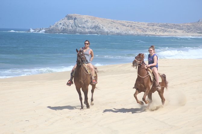 Guided Cabo Horseback Ride With Hotel Pickup  - Cabo San Lucas - Good To Know