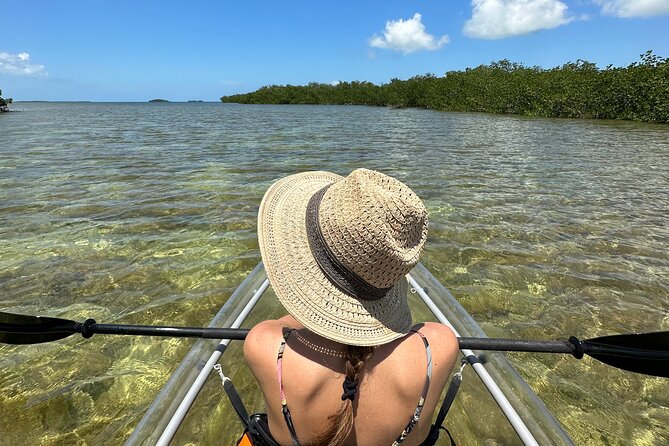 Guided Clear Kayak Eco-Tour of Sugarloaf Key (Near Key West)