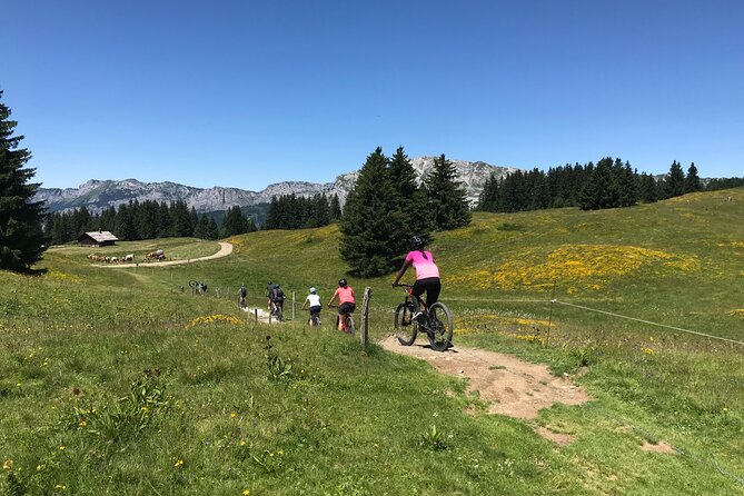 Guided E-Bike Mountain Bike Tour at Mandallaz Mountain - Tour Highlights