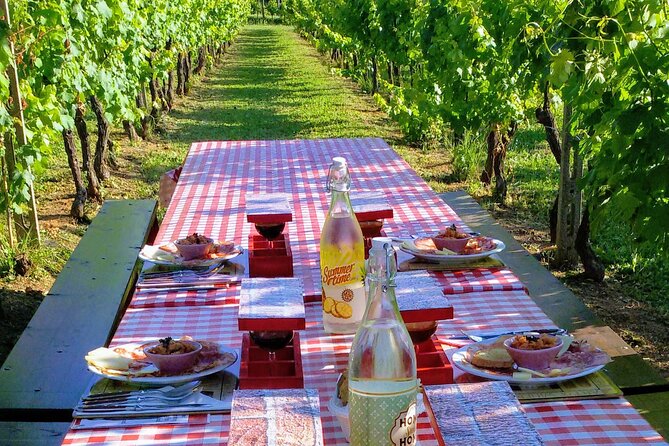 Guided E-Bike Tour With Wine Tasting From Lucca