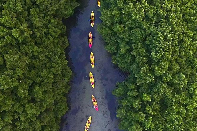 Guided El Yunque Rainforest & Bio Bay Tour: Full-Day With Transportation - Directions