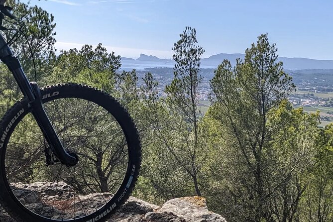 Guided ELECTRIC MTB Hike Discovery of Villages and Vineyards