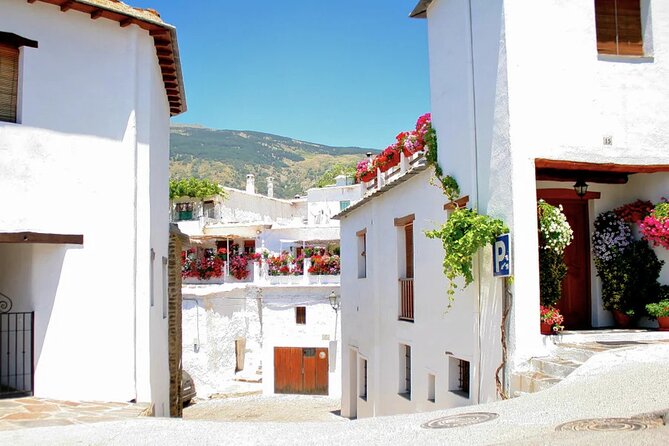 Guided Hikes in The Paradise of The Sierra Nevada Spain