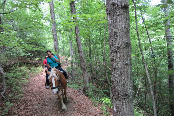 Guided Horseback Ride Through Flame Azalea and Fern Forest - Overview and Details
