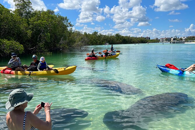 Guided Island Eco Tour - CLEAR or Standard Kayak or Board - Good To Know