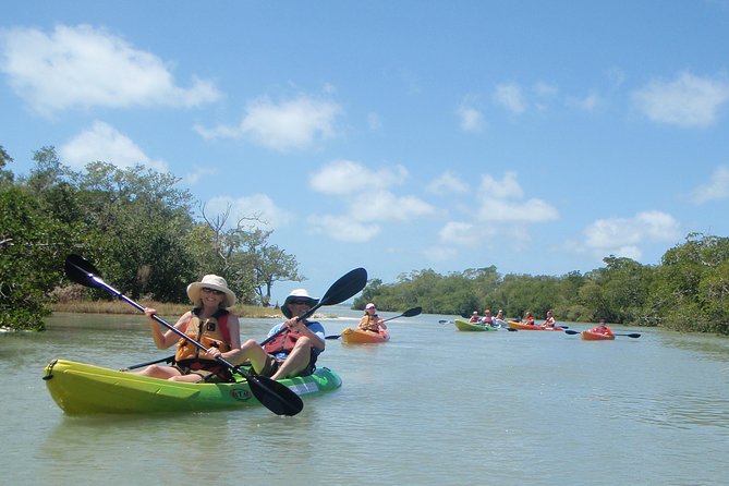 6 Best Guided Tours In Fort Myers