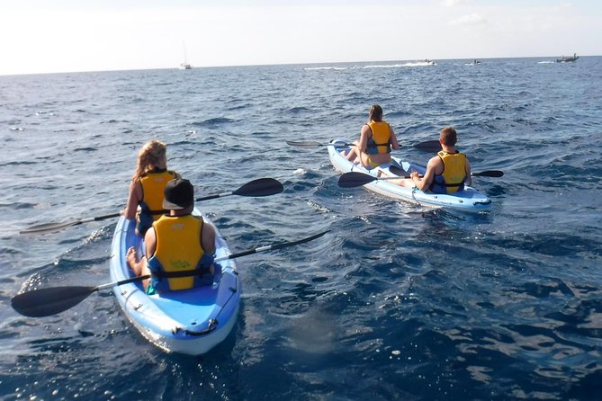 Guided Kayak Tour and Paella Lunch at the Beach in Valencia - Good To Know
