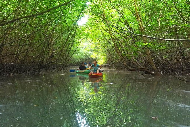 Guided Kayak Tour of Khao Lak Mangroves - Good To Know