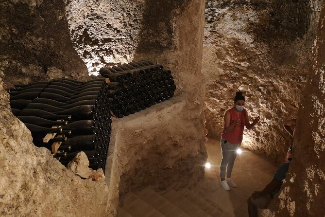 Guided Madrid Countryside Wine Tasting & Winery Tour