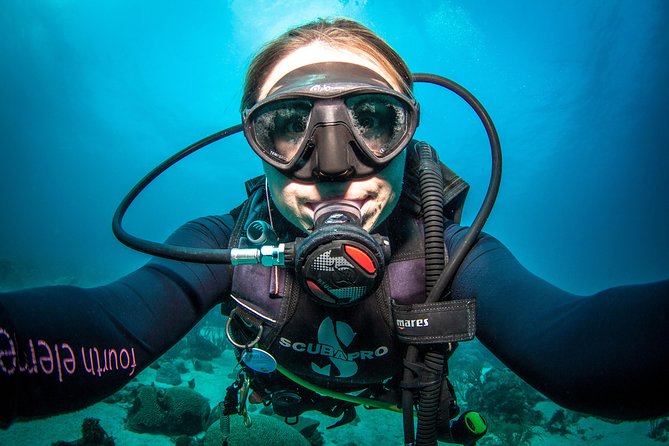 Guided Shore Dive for Certified Divers With Scubaçao (2 Tank) - Good To Know