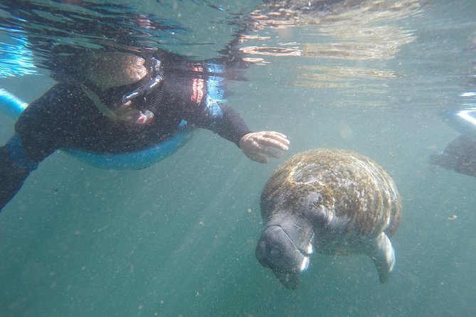 Guided Small Group Manatee Snorkeling Tour With In-Water Photographer - Good To Know
