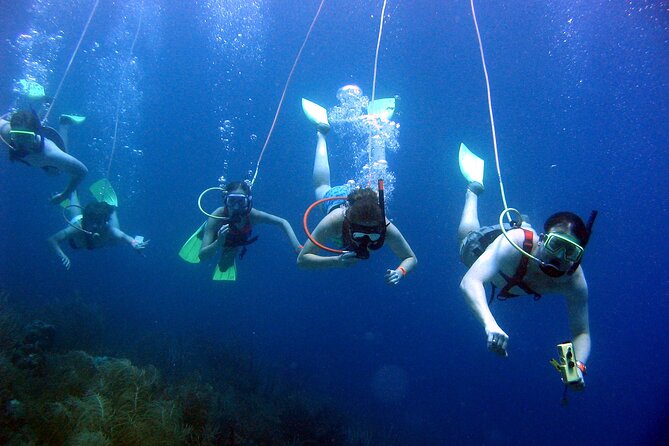 Guided SNUBA Adventure in St. Lucia  - Gros Islet - Traveler Photos and Reviews of SNUBA Adventure