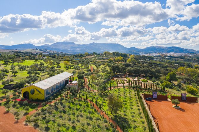 Guided Tour and Olive Oil Tasting in Ronda - Good To Know