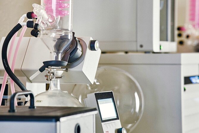 Guided Tour and Tasting at the Distillerie Baccae Paris - Good To Know