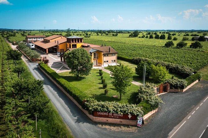 Guided Tour and Wine Tasting in the Sandro De Bruno Winery