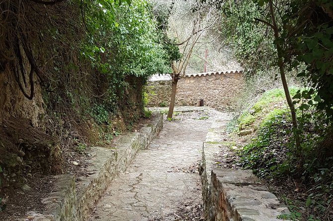 2 Best Guided Tours In Peloponnese
