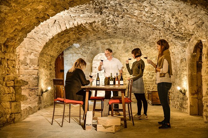 Guided Tour of a Vineyard in Vacquières With Wine Tasting