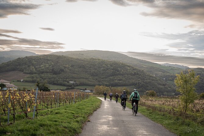 Guided Tour of Beaujolais by Electric Bike and Wine Tasting