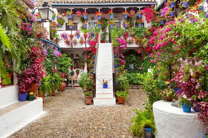 Guided Tour PATIOS of Cordoba