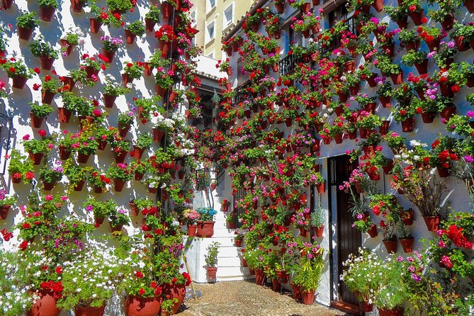 Guided Tour to the Popular Patios of Cordoba