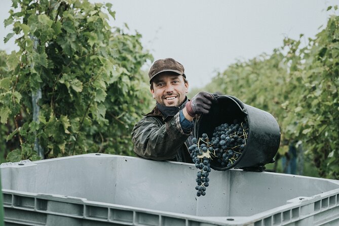 Guided Tour With a Unique Wine Tasting - Good To Know