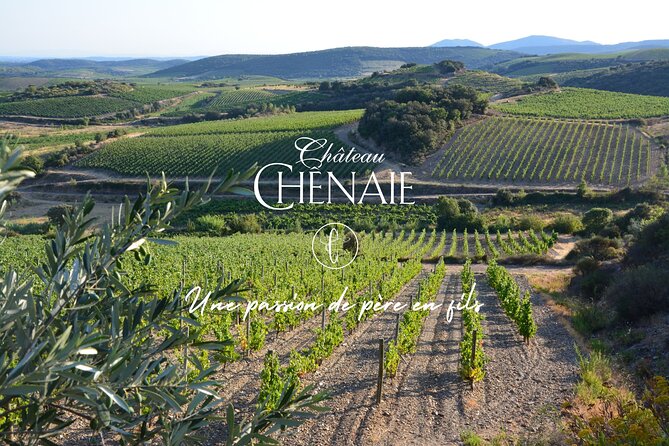 Guided Tour With a Winemaker: From the Vine to the Glass...