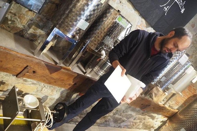 Guided Tours of the Olive Grove With Oil Tasting.