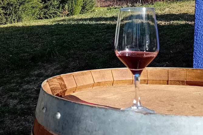 Guided Visit to One Winery in Madrid - Pickup and Meeting Point Details