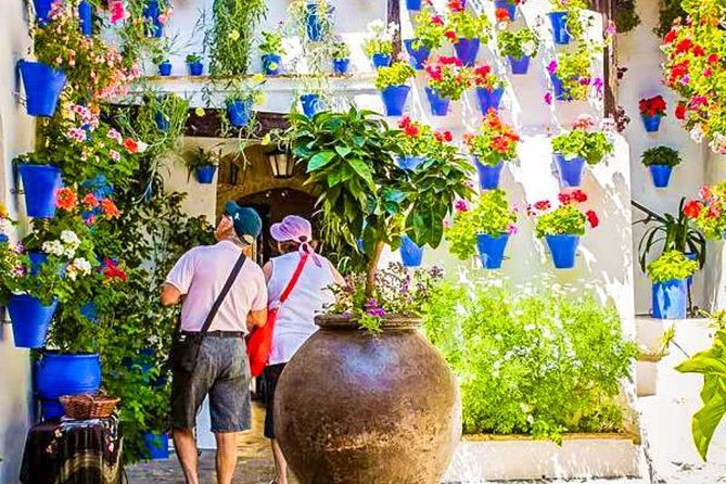 Guided Visit to the Popular Patios of Cordoba