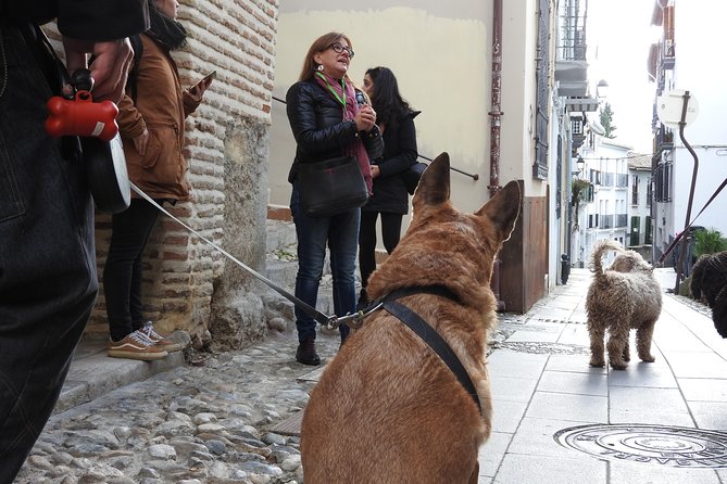Guided Visit to the Realejo With Dogs - Good To Know